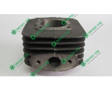 Циліндр бензогенератора (ЦПГ) ET-950