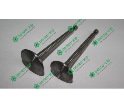 Клапана (комплект) м/б 175N/180N (7/9Hp) (D-32,d-27, H-97)