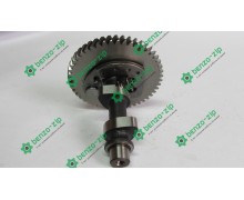 Розподільний вал з шестернею м/б 168F/170F (6/9Hp, D-170mm) №2