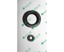 Сальник бензогенератора ET-950 комплект