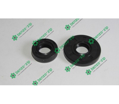 Сальники Goodluck 3800 комплект