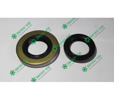 Сальники для БП St 361 комплект