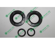 Сальники колінвала (набір) м/б 168F/170F (6,5/7Hp) (25*41,25*6 x 2шт)