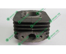 Циліндр бензогенератора (ЦПГ) ET-950