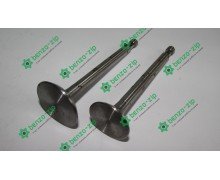 Клапани (комплект) м/б 175N/180N (7/9Hp) (D-32, d-27, H-97)