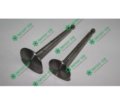 Клапани (комплект) м/б 175N/180N (7/9Hp) (D-32, d-27, H-97)