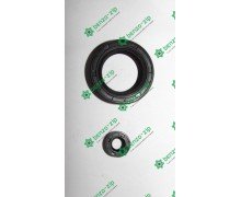 Сальник бензогенератора ET-950 комплект