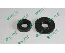 Сальники Goodluck 3800 комплект