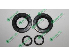 Сальники колінвала (набір) м/б 168F/170F (6,5/7Hp) (25*41,25*6 x 2шт)